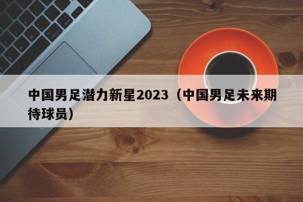 中国男足潜力新星2023（中国男足未来期待球员）